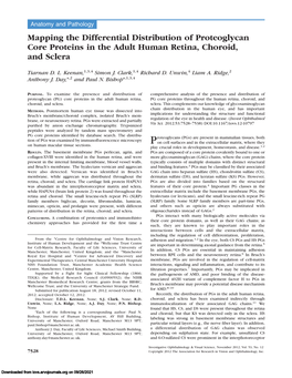 Mapping the Differential Distribution of Proteoglycan Core Proteins in the Adult Human Retina, Choroid, and Sclera