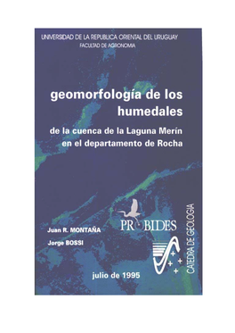 Geomorfología De Los Humedales De La Cuenca De La Laguna Merín En El Departamento De Rocha