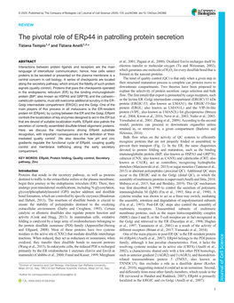 The Pivotal Role of Erp44 in Patrolling Protein Secretion Tiziana Tempio1,2 and Tiziana Anelli1,2,*