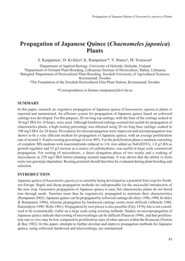 Propagation of Japanese Quince (Chaenomeles Japonica) Plants