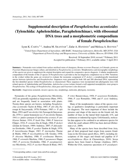 Supplemental Description of Paraphelenchus Acontioides
