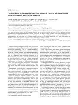 Origin of Three Red-Crowned Cranes Grus Japonensis Found in Northeast Honshu and West Hokkaido, Japan, from 2008 to 2012