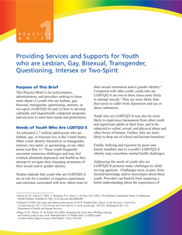 Providing Services and Supports for Youth Who Are Lesbian, Gay, Bisexual, Transgender, Questioning, Intersex Or Two-Spirit