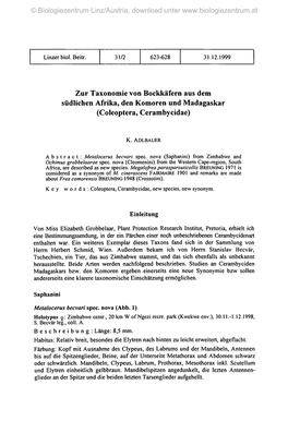 Zur Taxonomie Von Bockkäfern Aus Dem Südlichen Afrika, Den Komoren Und Madagaskar (Coleoptera, Cerambycidae)