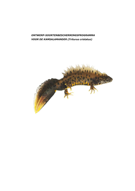 ONTWERP-SOORTENBESCHERMINGSPROGRAMMA VOOR DE KAMSALAMANDER (Triturus Cristatus)