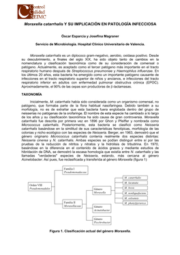 Moraxella Catarrhalis Y SU IMPLICACIÓN EN PATOLOGÍA INFECCIOSA