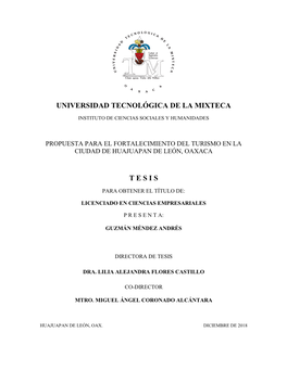 Universidad Tecnológica De La Mixteca T E S