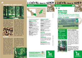 Englefontaine – Entre Bois Et Bocage