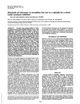 Blockade of Tolerance to Morphine but Not to Opioids by a Nitric Oxide Synthase Inhibitor (Nitric Oxide/Opiate/Dependence/Naloxone Benzoylhydrazone/U50,488H)