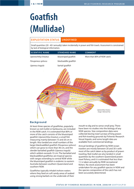 Goatfish (Mullidae)