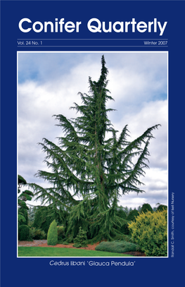 Conifer Quarterly