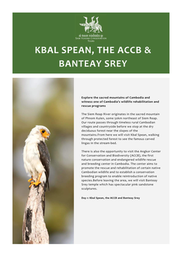 Kbal Spean, the ACCB & Banteay Srey SVC Brochure