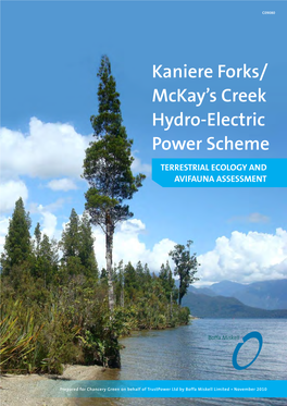 Kaniere Forks/ Mckay’S Creek Hydro-Electric Power Scheme