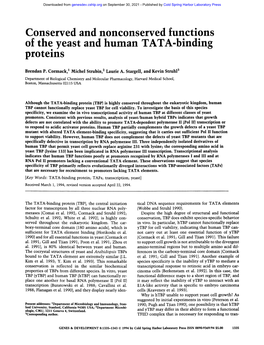 Conserved and Nonconserved Functions of the Yeast and Human TATA-Binding Proteins