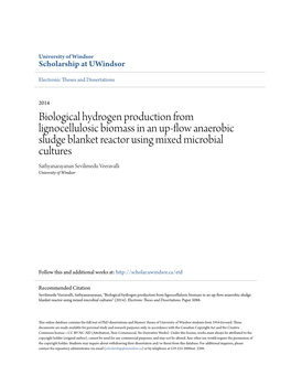 Biological Hydrogen Production from Lignocellulosic Biomass in an Up