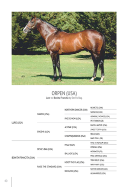 ORPEN (USA) Lure Ex Bonita Francita by Devil’S Bag