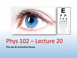The Eye & Corrective Lenses