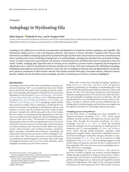 Autophagy in Myelinating Glia