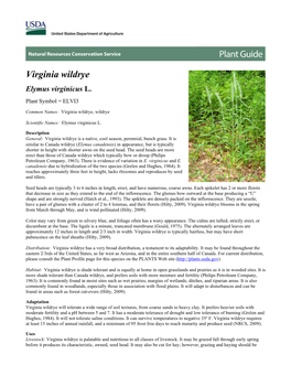 Plant Guide-Virginia Wildrye