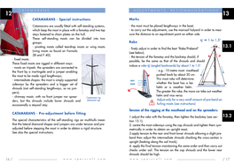 ADJUSTMENTS, RECOMMENDATIONS 12 13 CATAMARANS - Special Instructions Marks