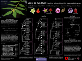 Capsi-Conundrum:Resolving Relationships Within Capsiceae