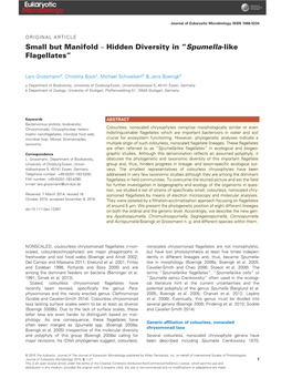 Small but Manifold &#X2013; Hidden Diversity in &#X201c