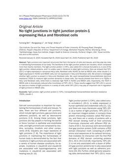 Original Article No Tight Junctions in Tight Junction Protein-1 Expressing Hela and Fibroblast Cells