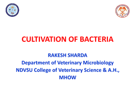 Cultivation of Bacteria