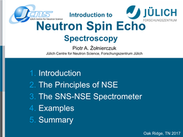 Neutron Spin Echo Spectroscopy Piotr A