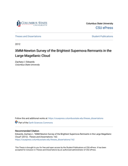 XMM-Newton Survey of the Brightest Supernova Remnants in the Large Magellanic Cloud