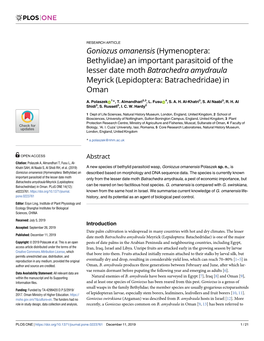 Goniozus Omanensis (Hymenoptera: Bethylidae) an Important Parasitoid of the Lesser Date Moth Batrachedra Amydraula Meyrick (Lepidoptera: Batrachedridae) in Oman