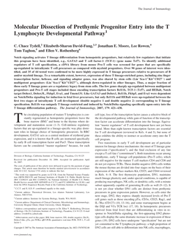 Pathway Entry Into the T Lymphocyte Developmental Molecular Dissection of Prethymic Progenitor