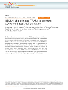 NEDD4 Ubiquitinates TRAF3 to Promote CD40-Mediated AKT Activation