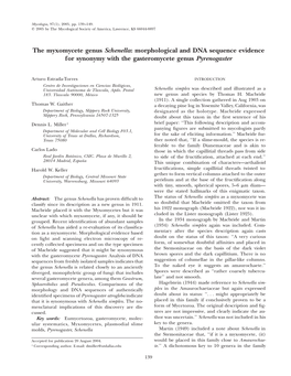 Morphological and DNA Sequence Evidence for Synonymy with the Gasteromycete Genus Pyrenogaster