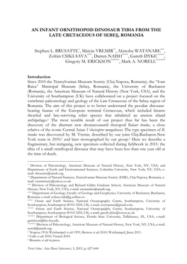 An Infant Ornithopod Dinosaur Tibia from the Late Cretaceous of Sebeş, Romania