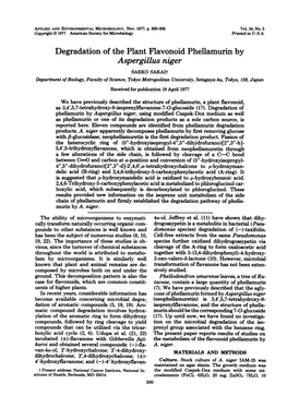 Degradation of the Plant Flavonoid Phellamurin by Aspergillus Niger