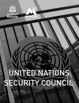 United Nations Security Council