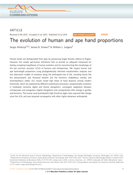 The Evolution of Human and Ape Hand Proportions