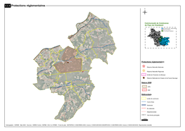 Protections Réglementaires Josnes Baigneaux Boisseau La Madeleine-Vi Llefrouin Concriers Talcy Rhodon