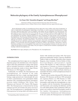 Molecular Phylogeny of the Family Scytosiphonaceae (Phaeophyceae)