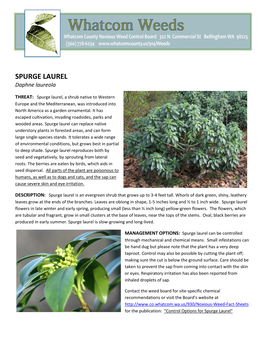 SPURGE LAUREL Daphne Laureola