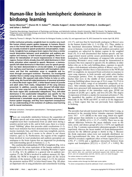 Human-Like Brain Hemispheric Dominance in Birdsong Learning