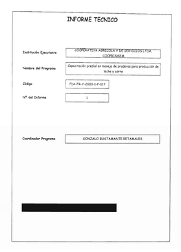 Informe Tecnico