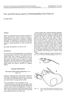 New and Little Known Species of Dolichopodidae Fro1n China (I)