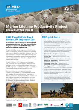 Merino Lifetime Productivity Project Newsletter No.8