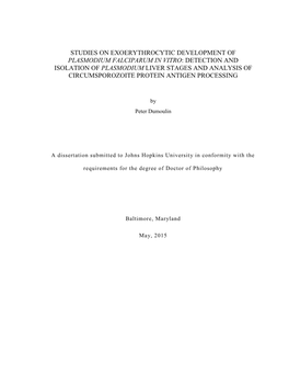 Detection and Isolation of Plasmodium Liver Stages and Analysis of Circumsporozoite Protein Antigen Processing