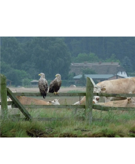 Naturlandschaft Stett. Haff__Buchauszug.Pdf