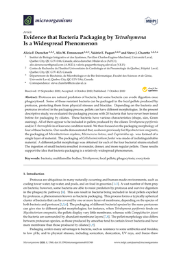 Evidence That Bacteria Packaging by Tetrahymena Is a Widespread Phenomenon