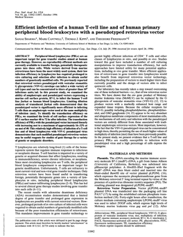 Efficient Infection of a Human T-Cell Line and of Human Primary