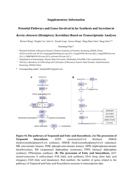 Supplementary Information Potential Pathways and Genes